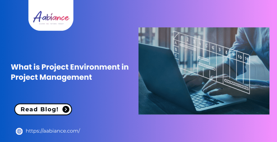 What is Project Environment in Project Management?