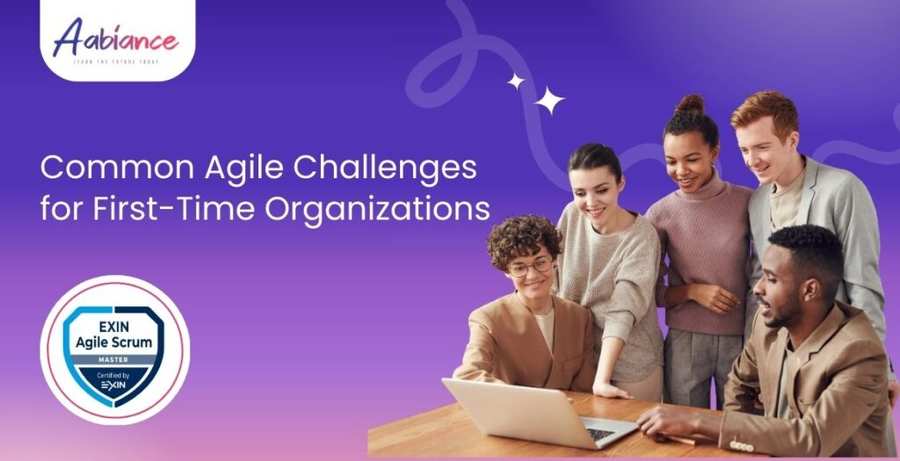Common Challenges Faced by First-Time Agile Organizations