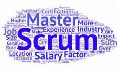 Scrum salary